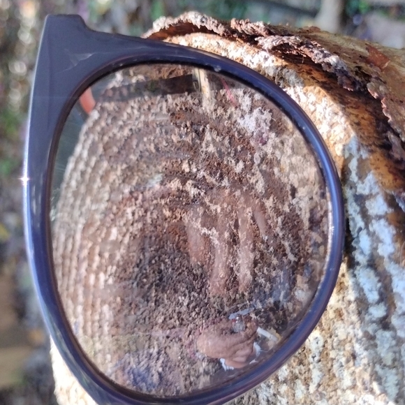 🦋🏵️🦋Sunnies - Picture 6 of 8